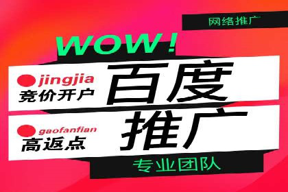 百度推广公司案例解析：如何利用大数据优化营销策略